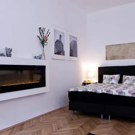 Center With Fireplace Praga